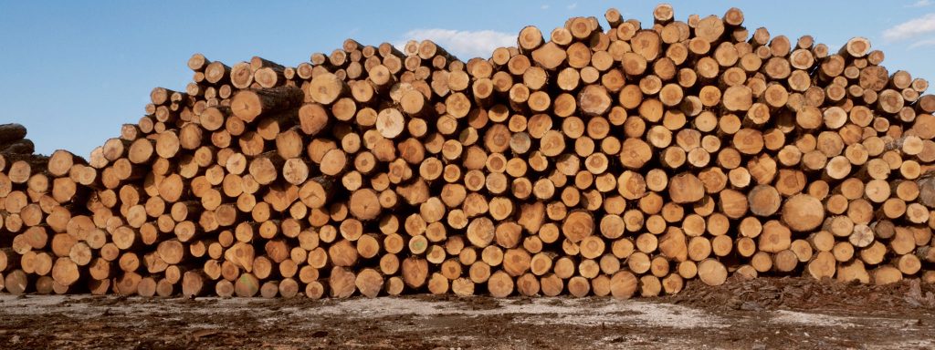 baltprom Holzkontor GmbH - Holzhandel, Rundholz, Biomasse und Logistik