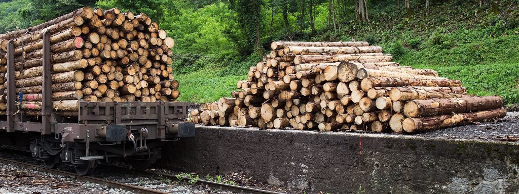 baltprom Holzkontor GmbH - Holzhandel, Rundholz, Biomasse und Logistik